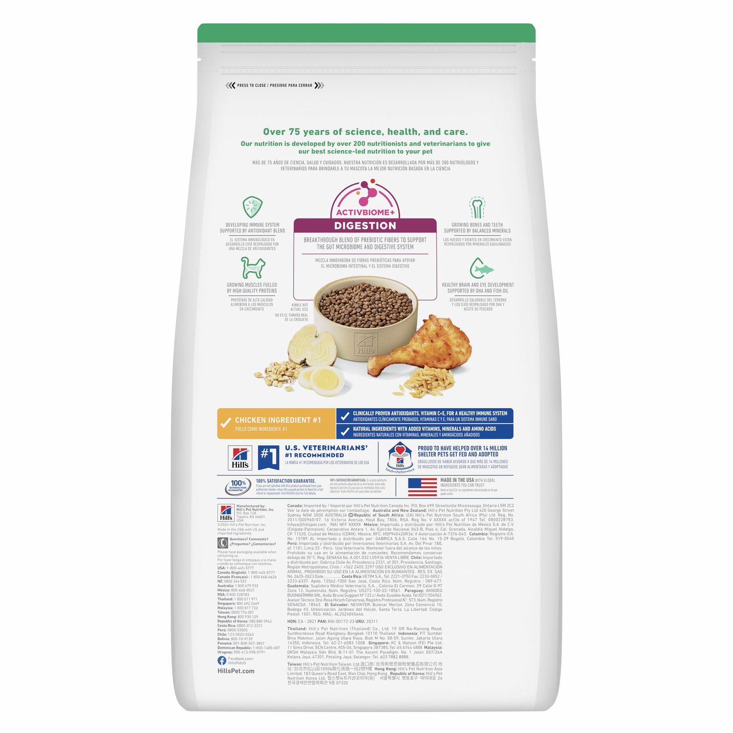 Kitten Chicken Recipe Cat Food