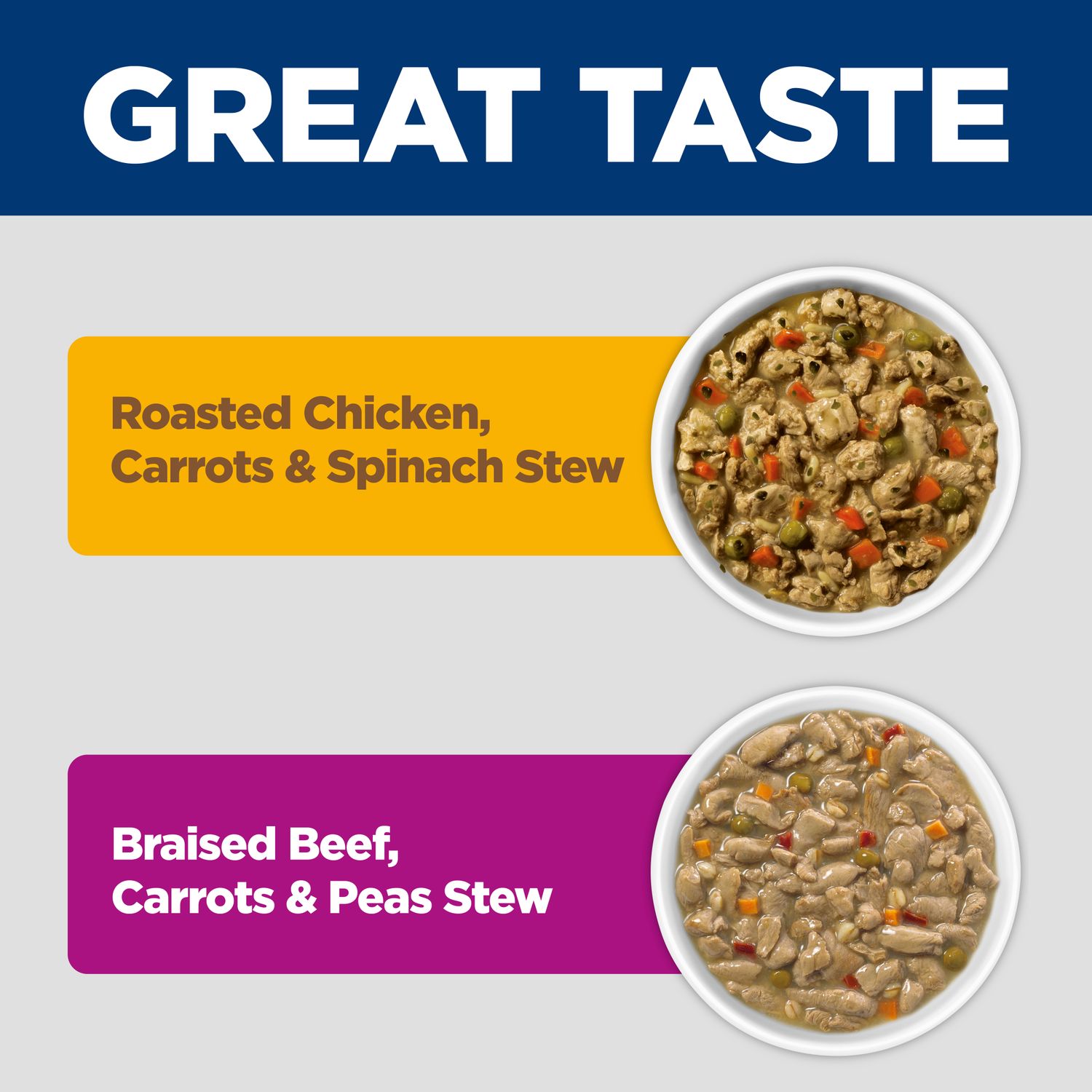 Adult Healthy Cuisine Dog Food