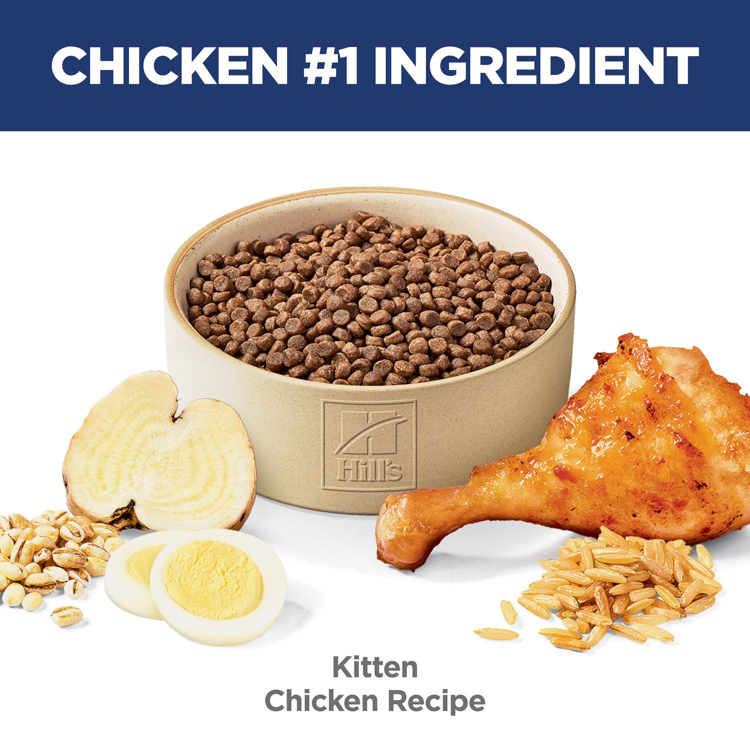 Kitten Cat Food
