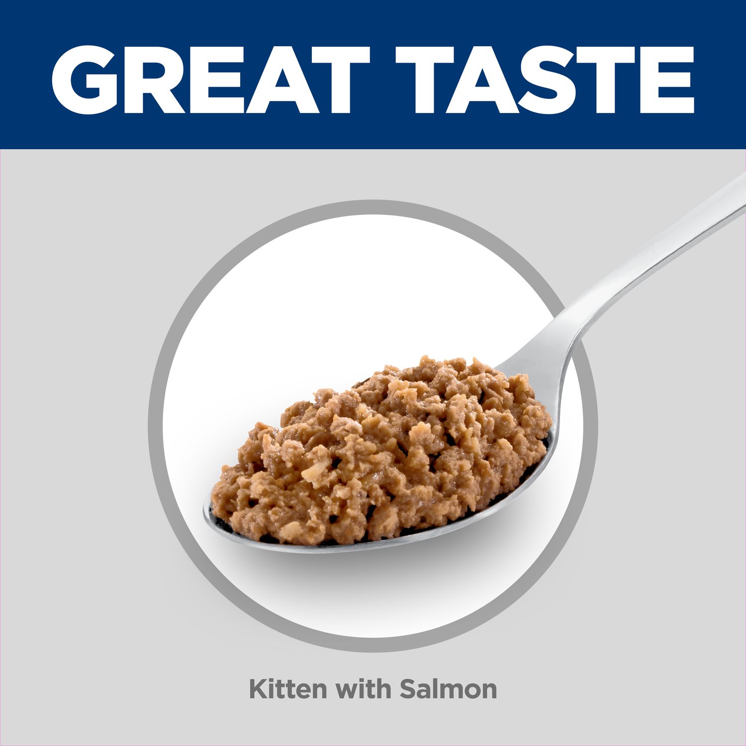 Kitten Cat Food