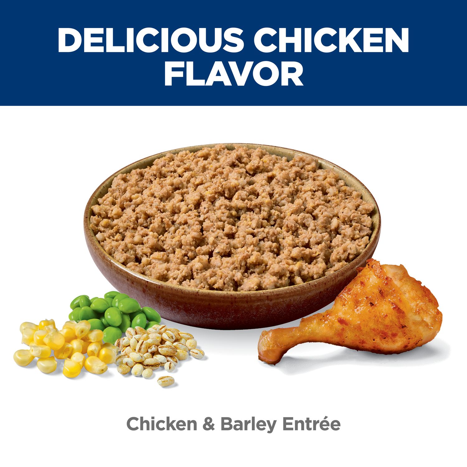 Adult Chicken & Barley Entree Dog Food