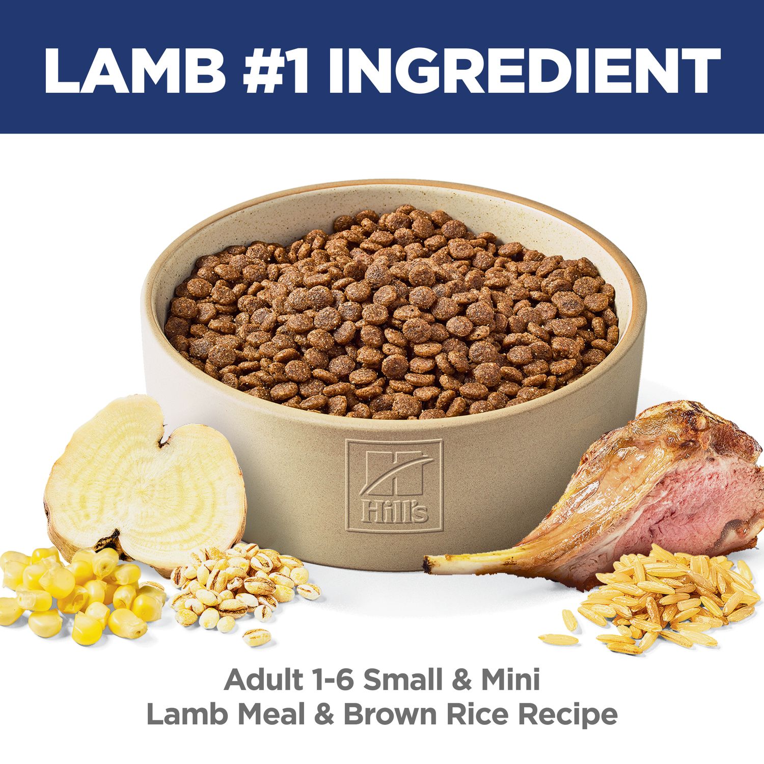 Adult Small & Mini Dog Food