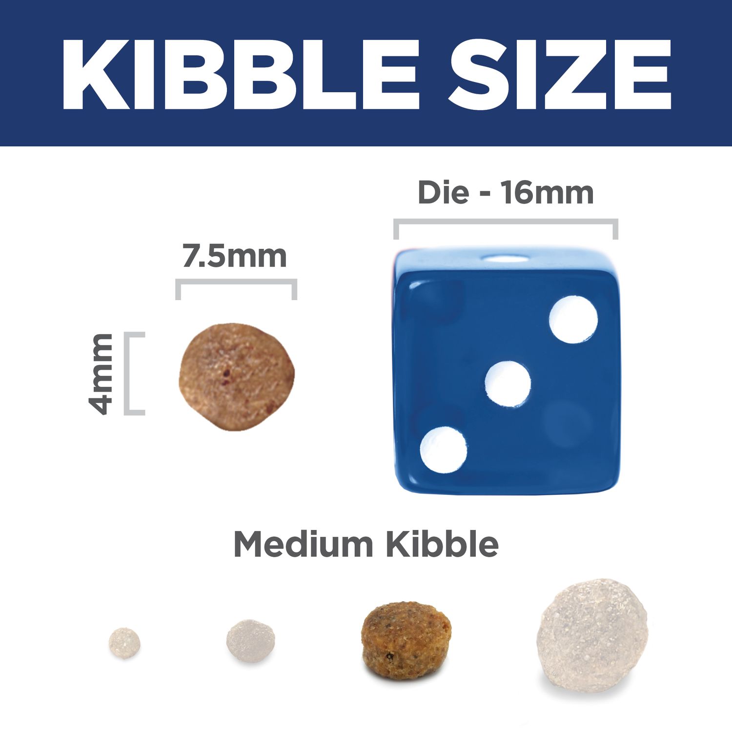 Adult 11+ Small & Mini Dog Food