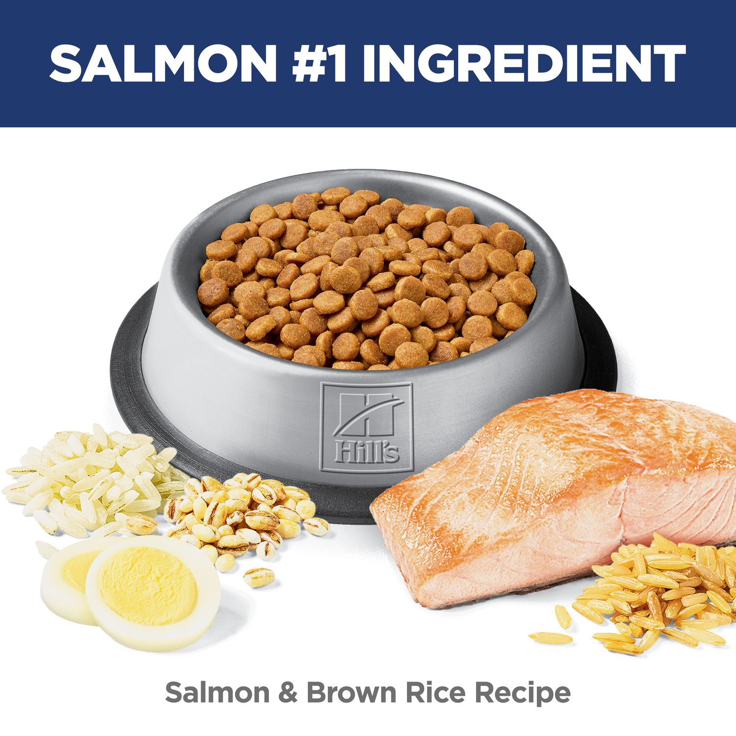 Adult Sensitive Stomach & Skin Cat Food