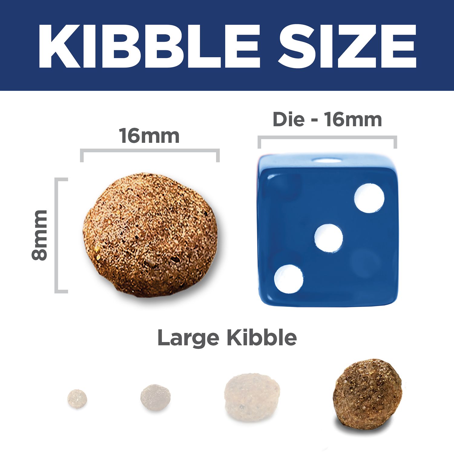 Senior 6+ Large Breed Dog Food