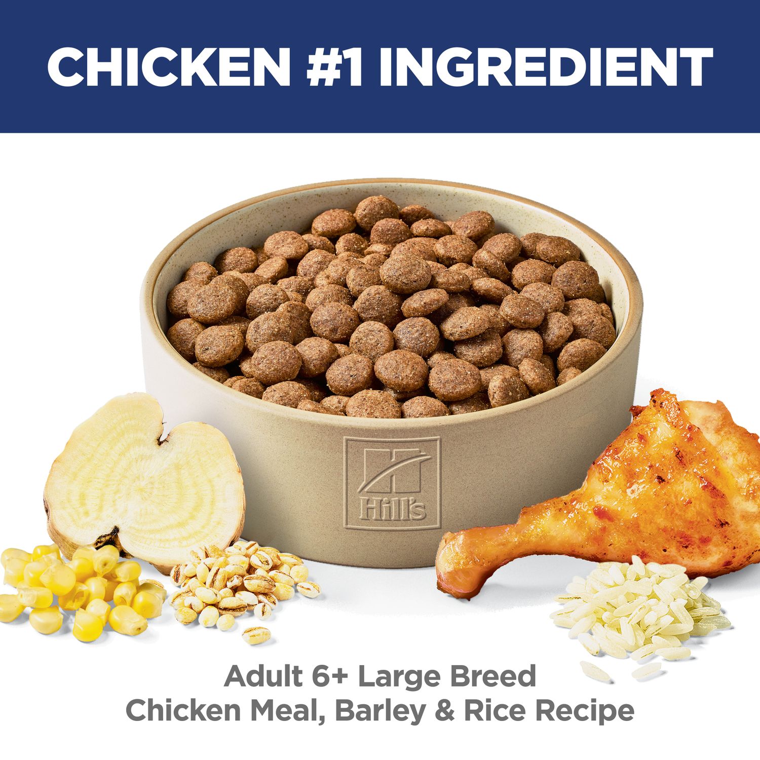 Senior 6+ Large Breed Dog Food