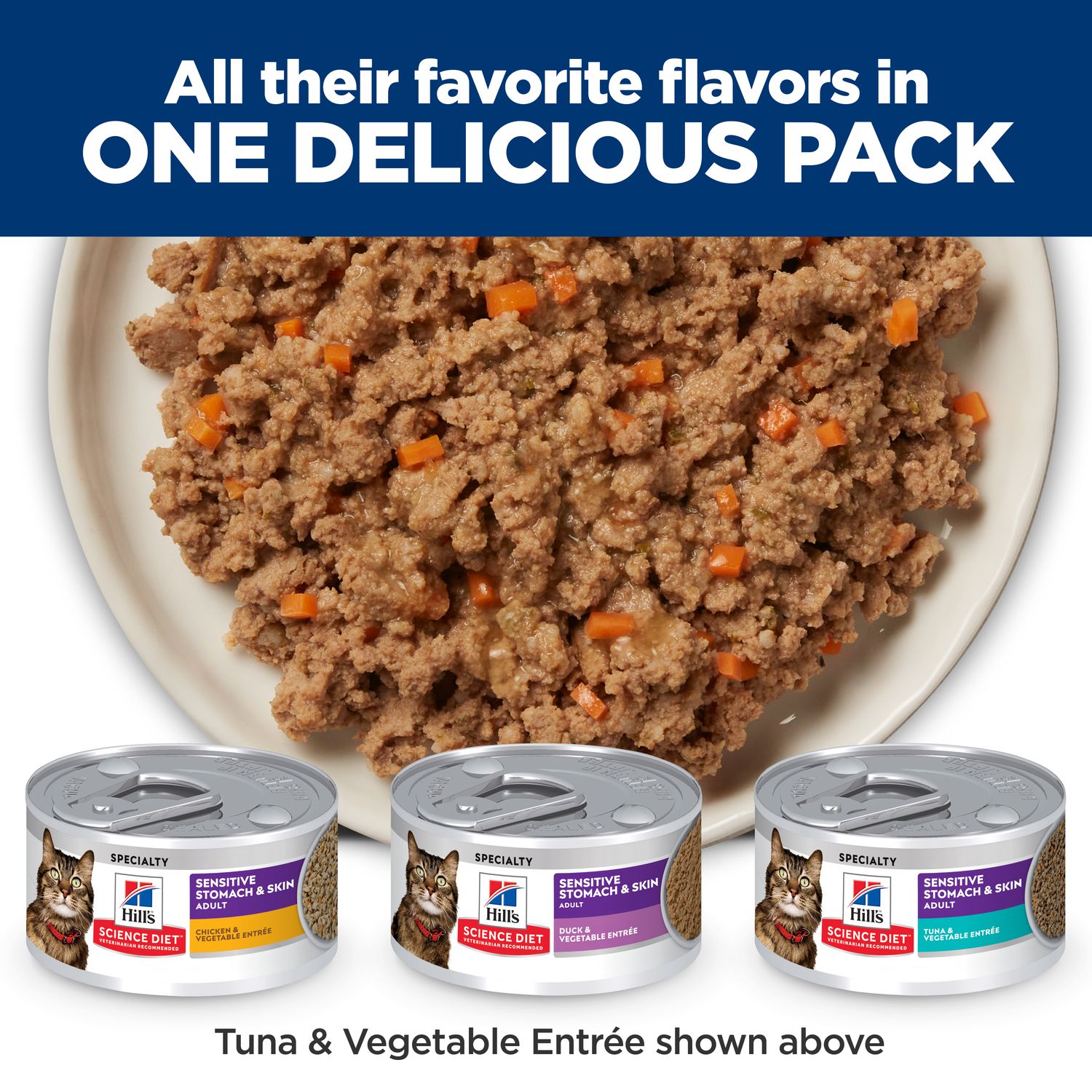 Adult Sensitive Stomach Skin Cat Food