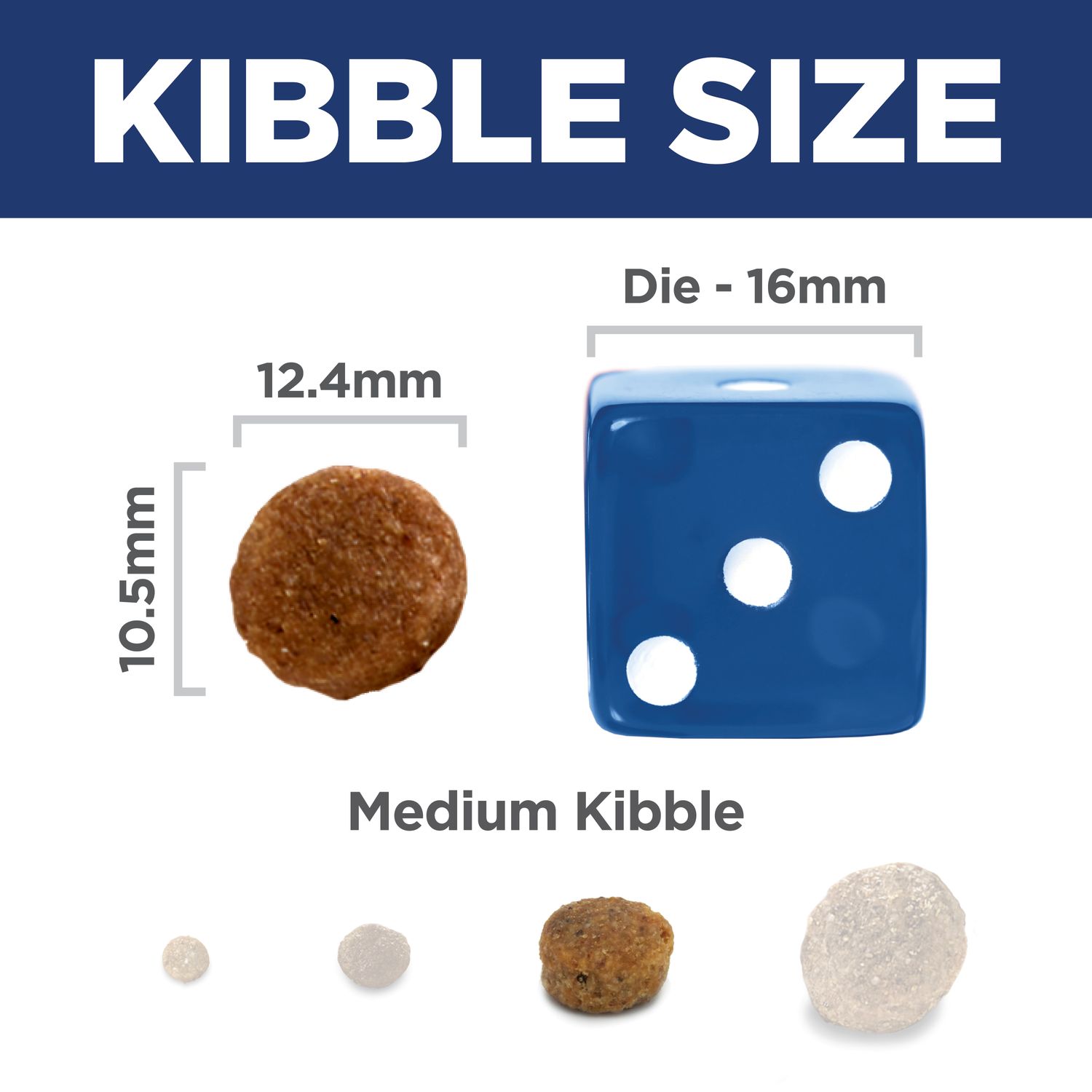 Sensitive Stomach & Skin Dog Food