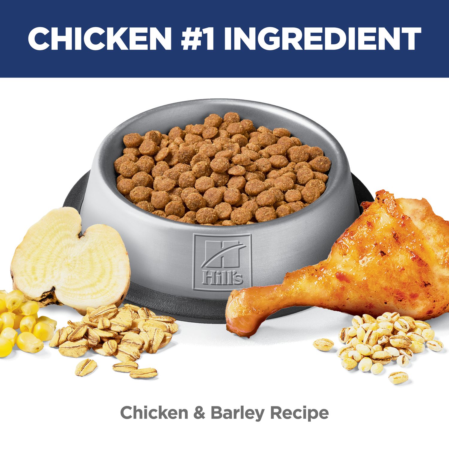 Adult Perfect Digestion Cat Food