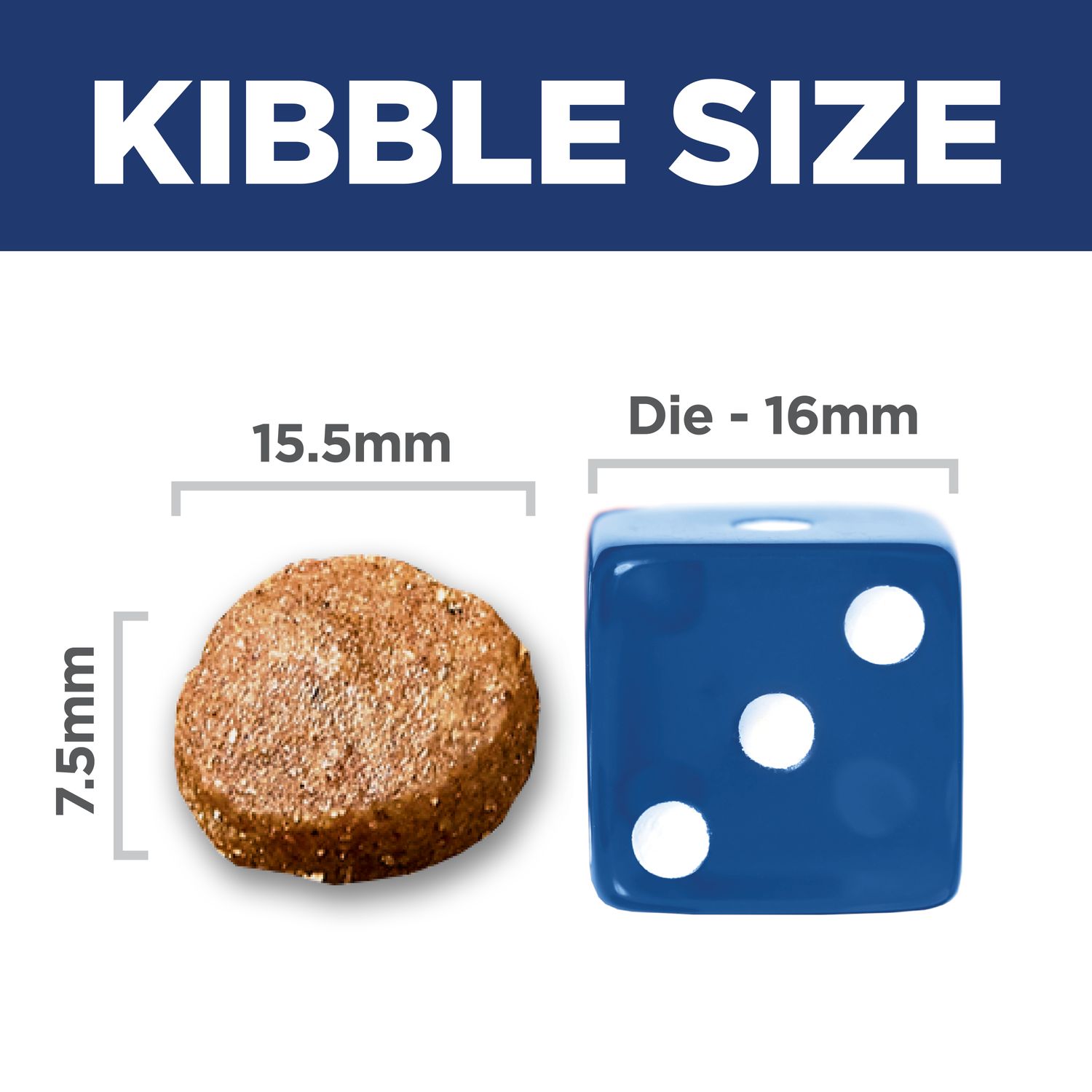 Adult Sensitive Stomach & Skin Large Breed Chicken & Barley Recipe Dog Food