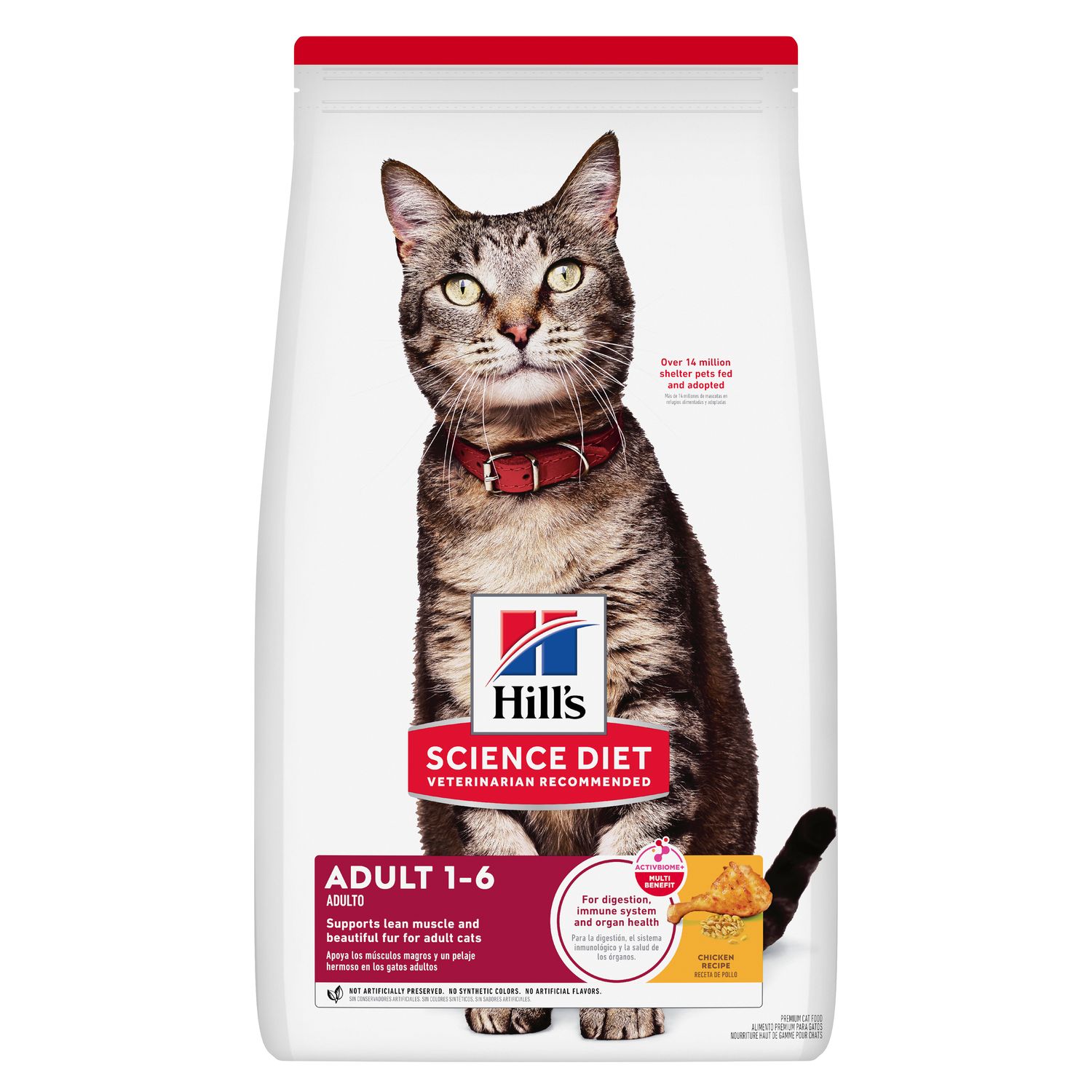 Adult Cat Food