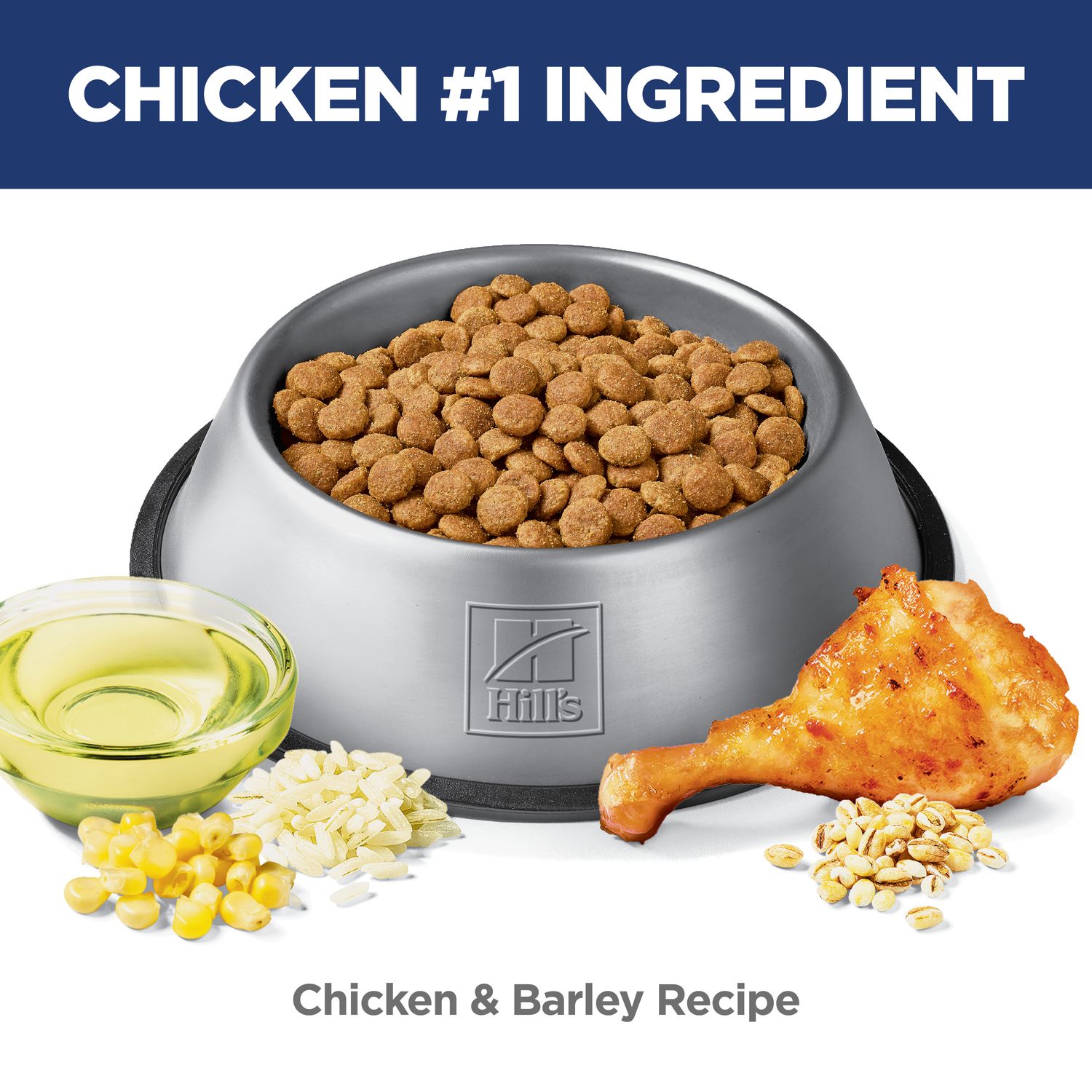 Adult Perfect Digestion Dog Food