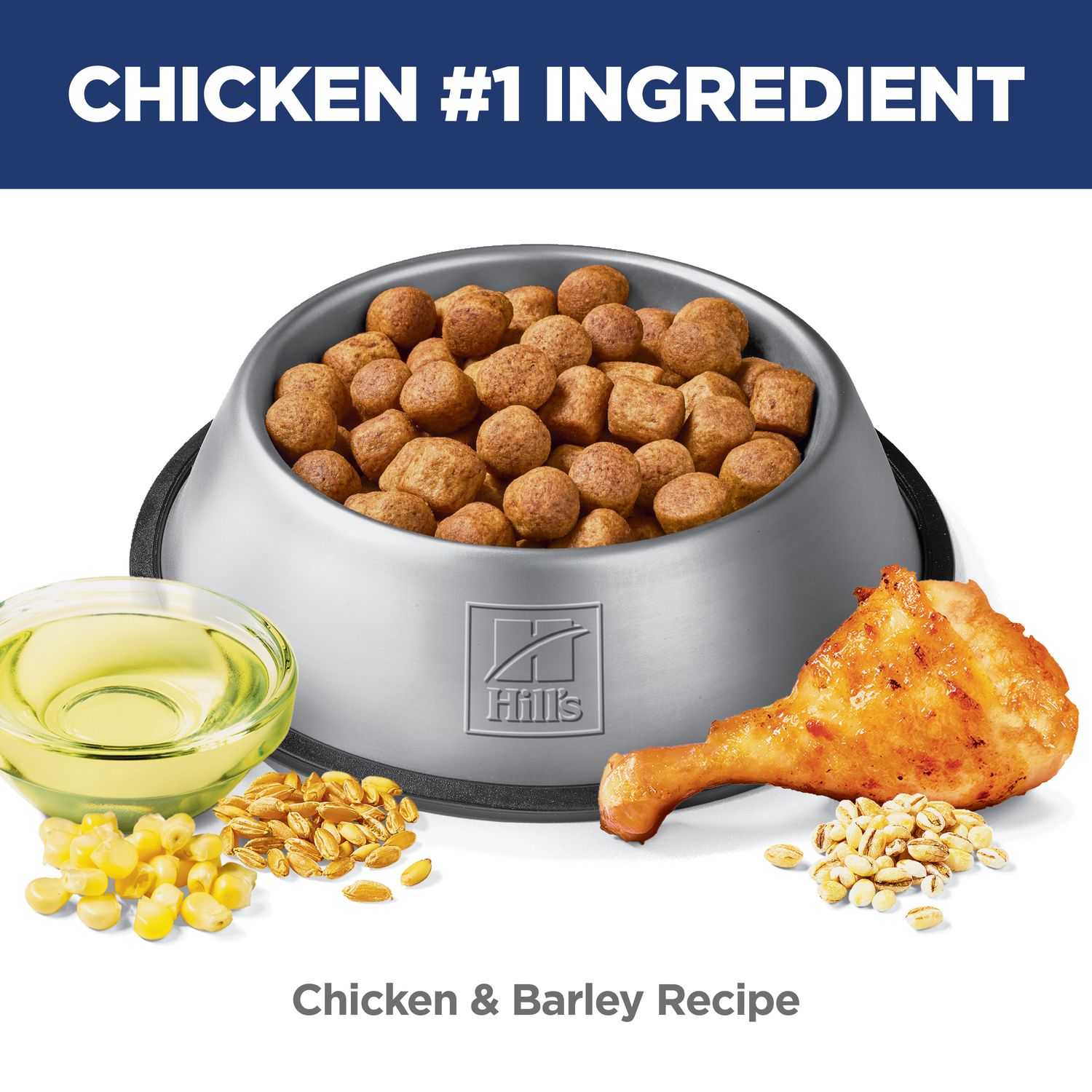 Adult Oral Care Small & Mini Dog Food