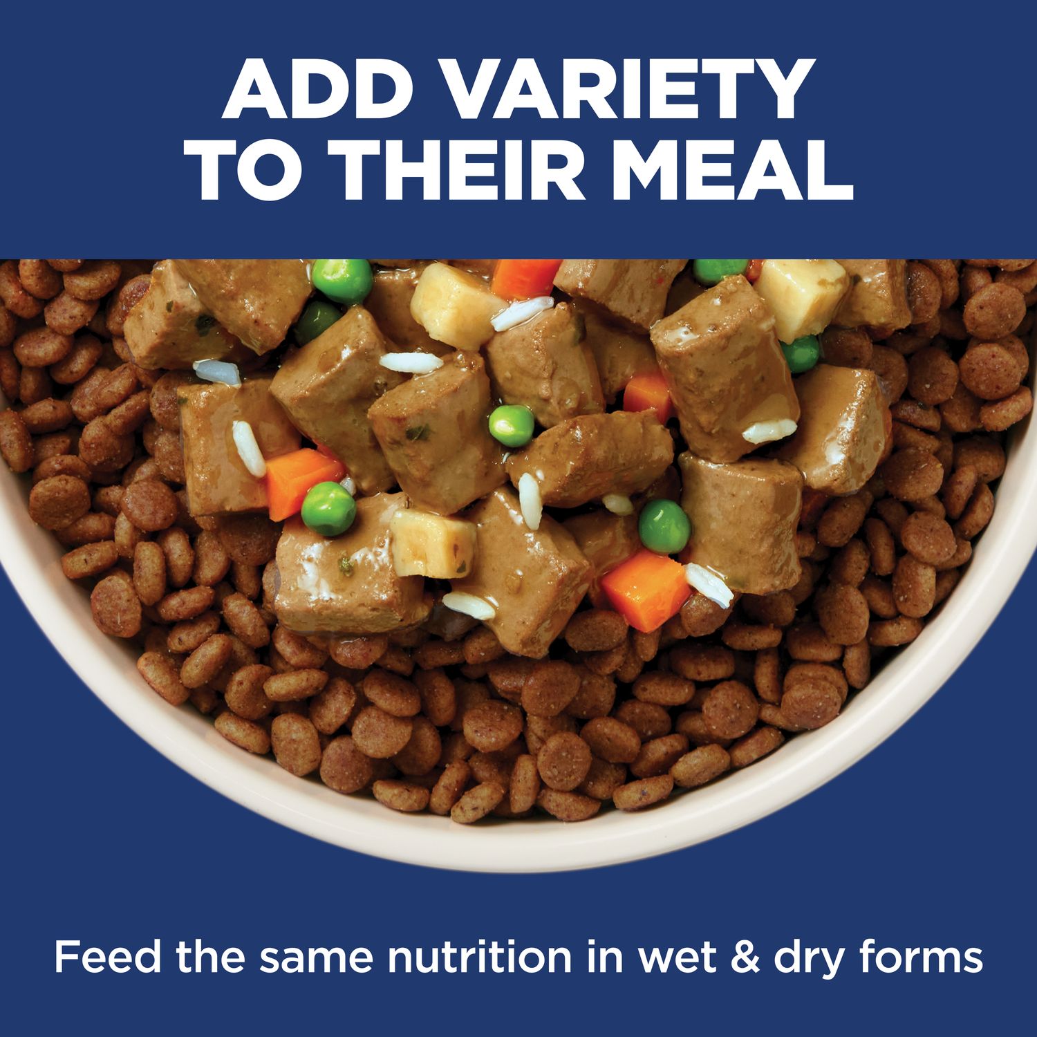 Adult Sensitive Stomach & Skin Chicken & Barley Recipe Dog Food