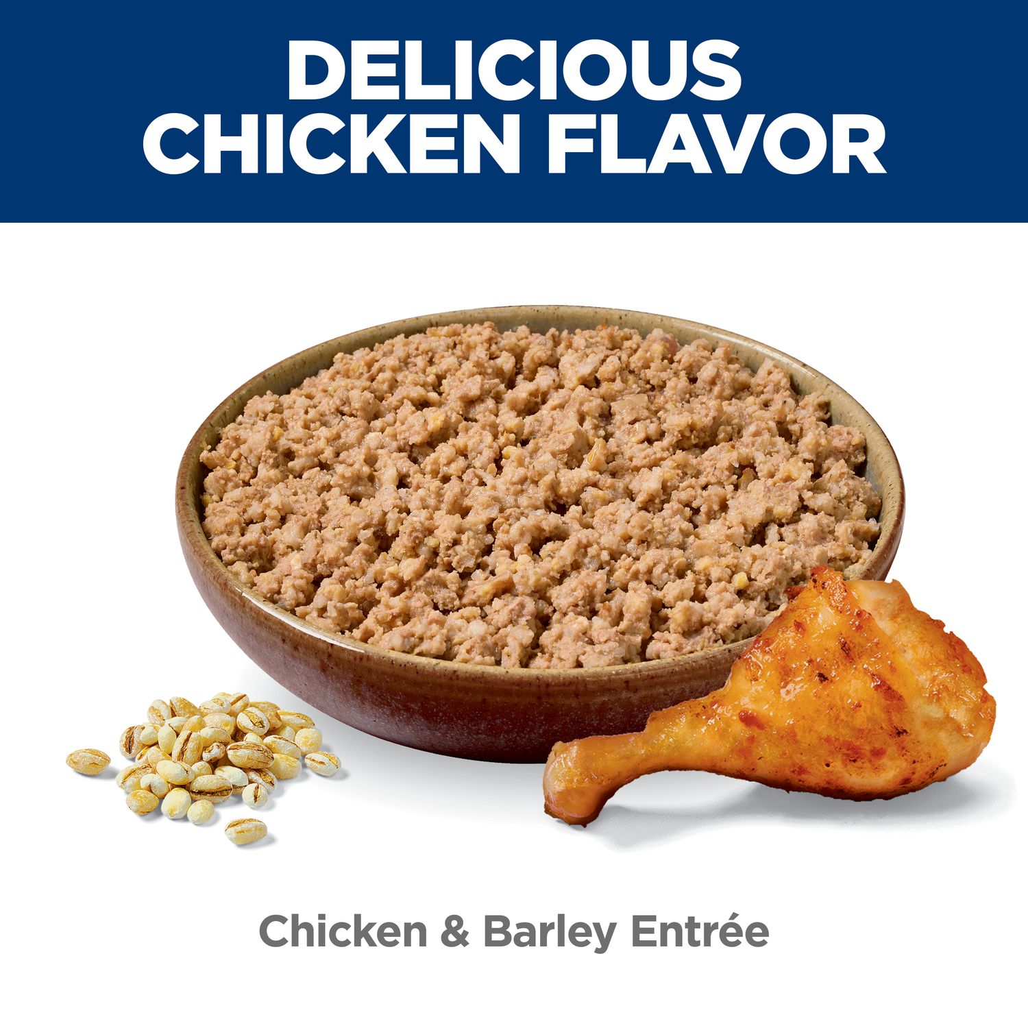 Adult Small & Mini Dog Food