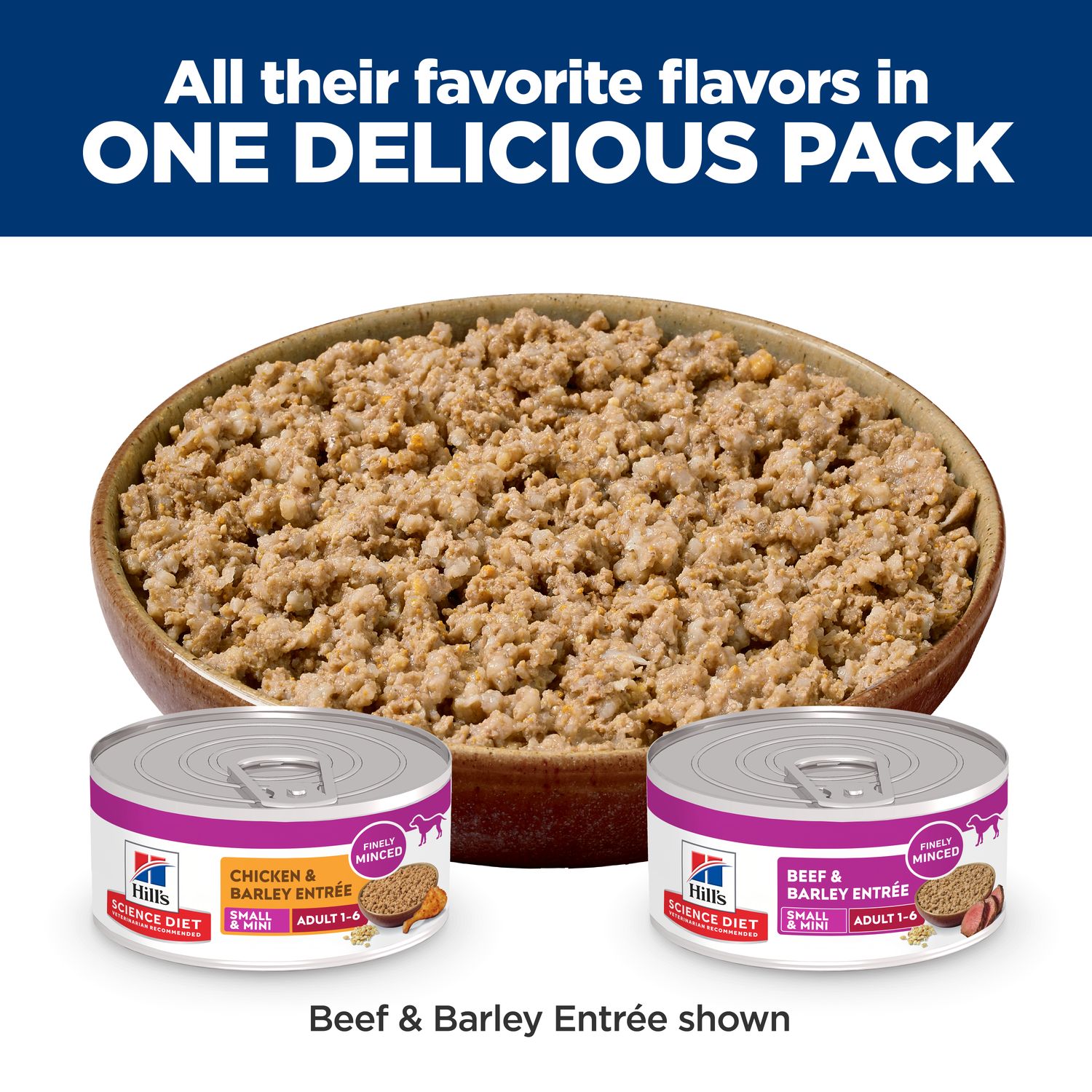 Adult Small Mini Dog Food