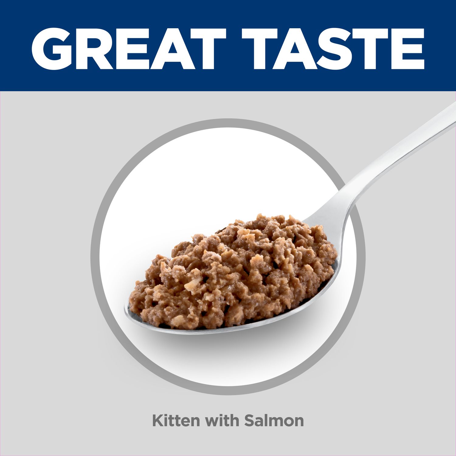 Kitten Cat Food