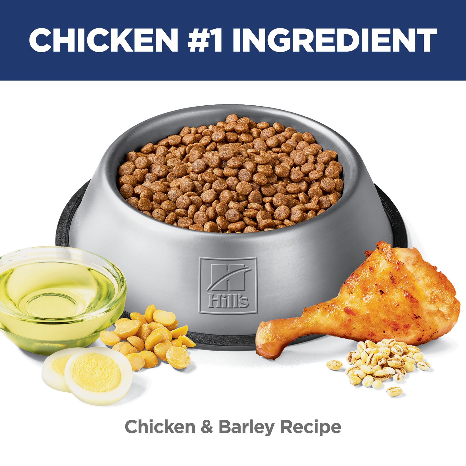 Adult Sensitive Stomach & Skin Small Bites Chicken & Barley Recipe Dog Food