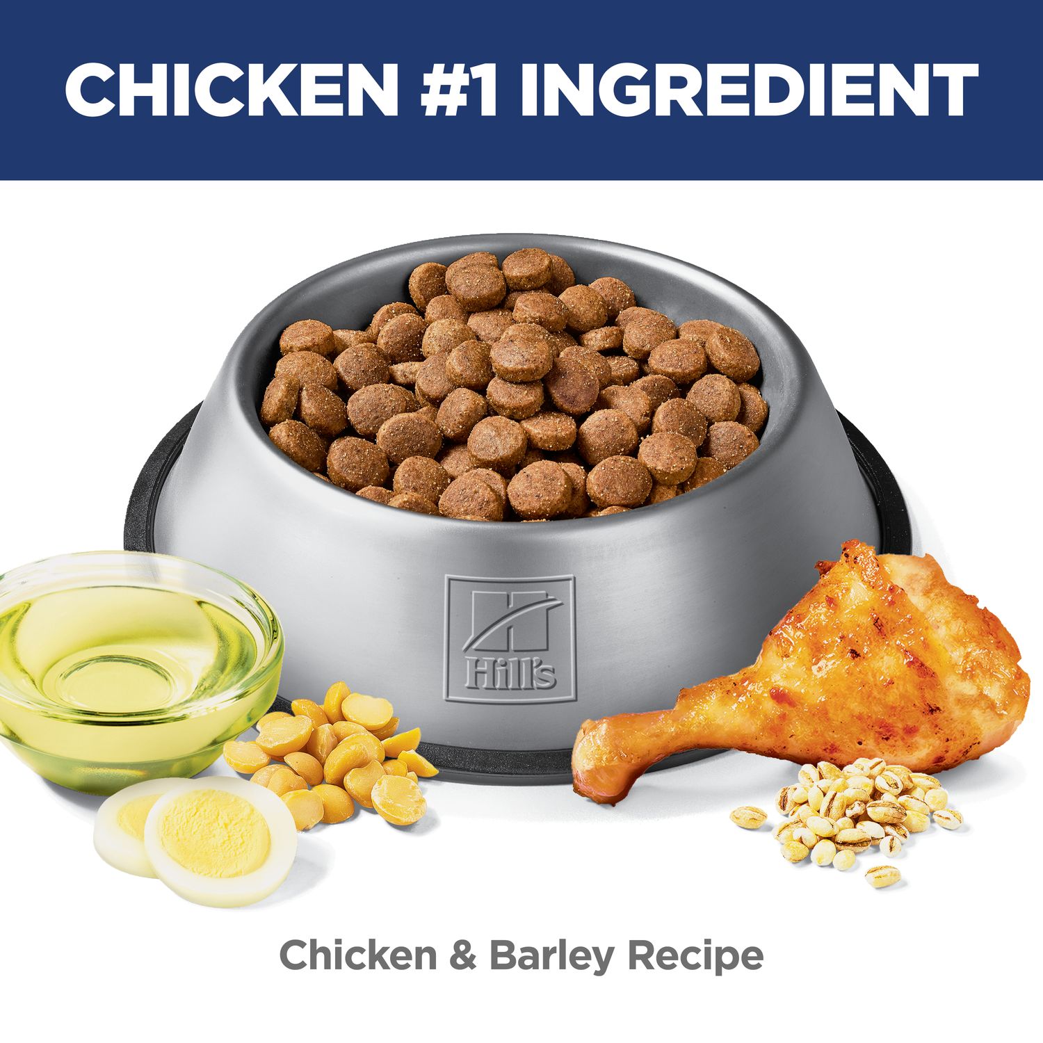 Adult Sensitive Stomach & Skin Large Breed Chicken & Barley Recipe Dog Food