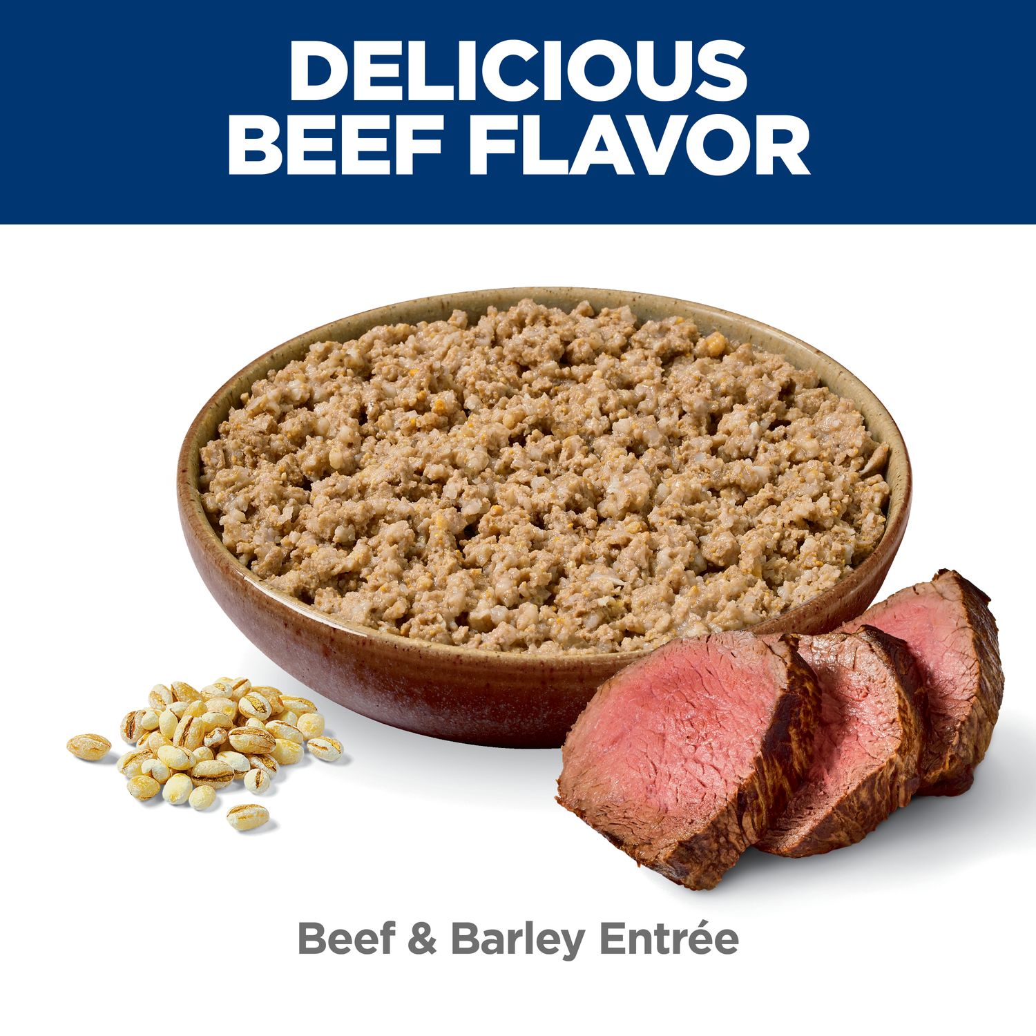 Adult Small & Mini Dog Food