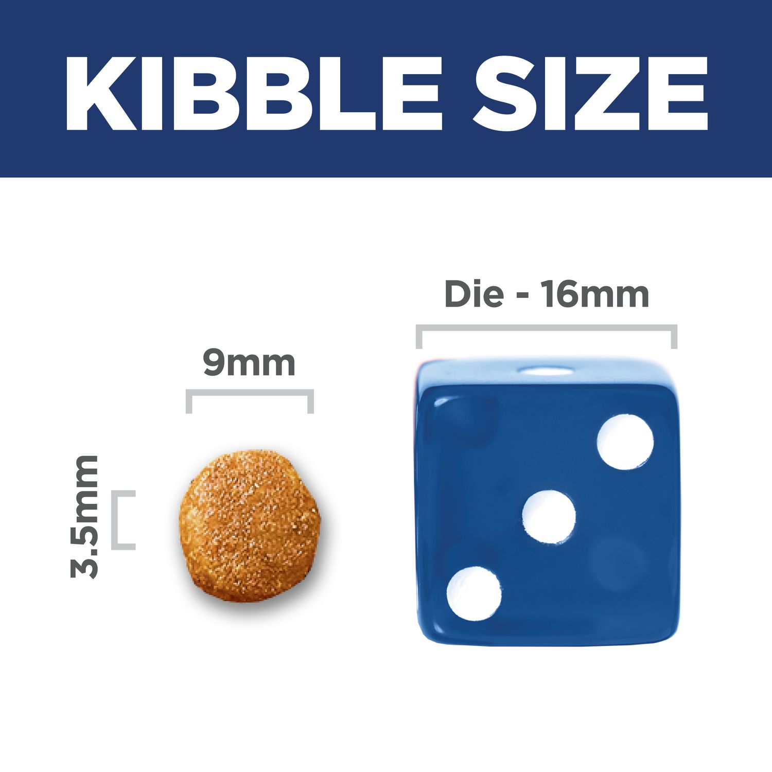 Adult Sensitive Stomach & Skin Cat Food