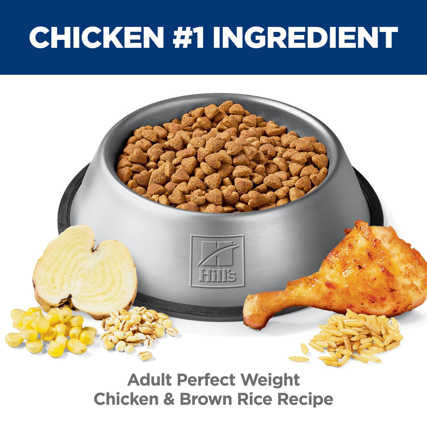 Adult Perfect Weight Chicken & Brown Rice Recipe Dog Food