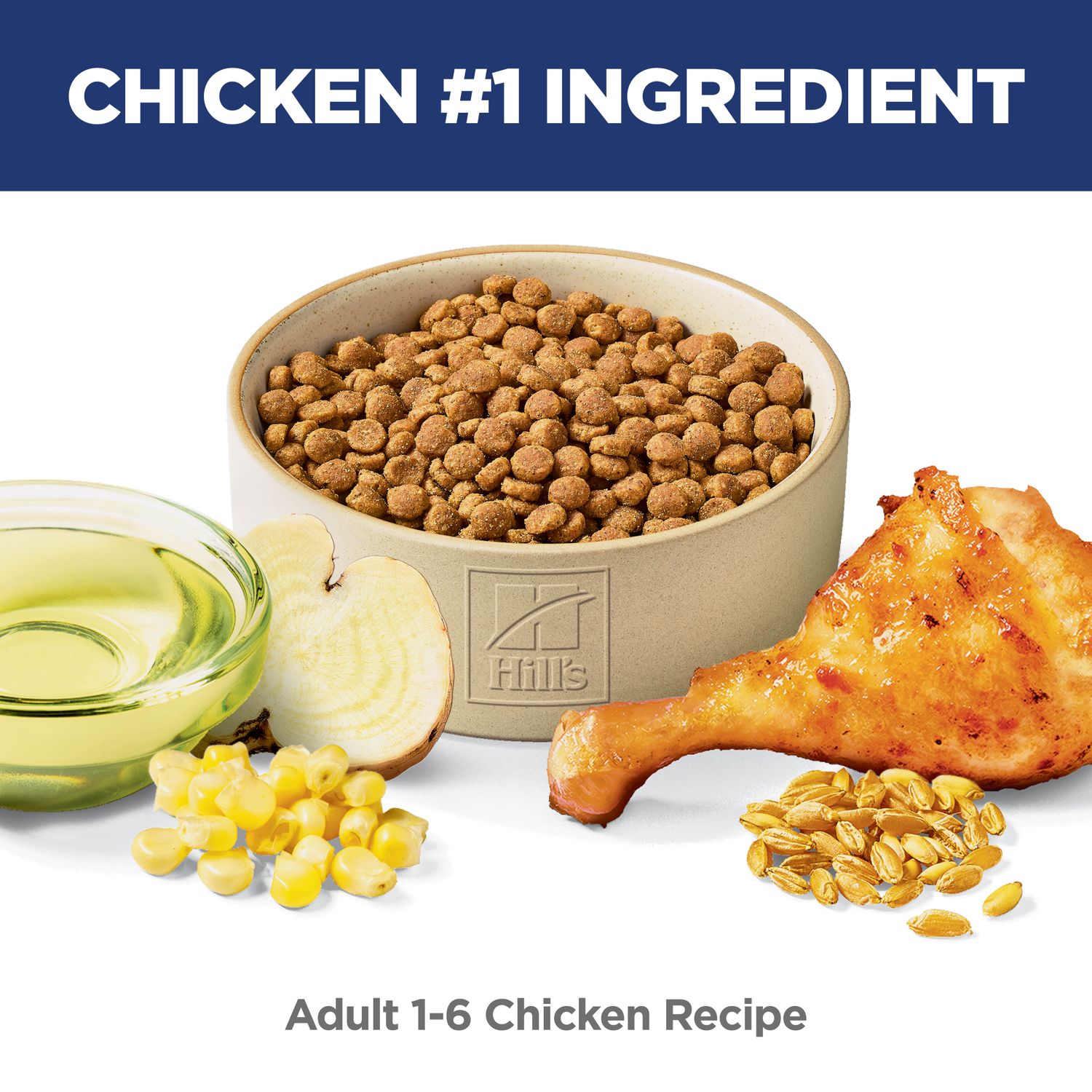 Adult Cat Food