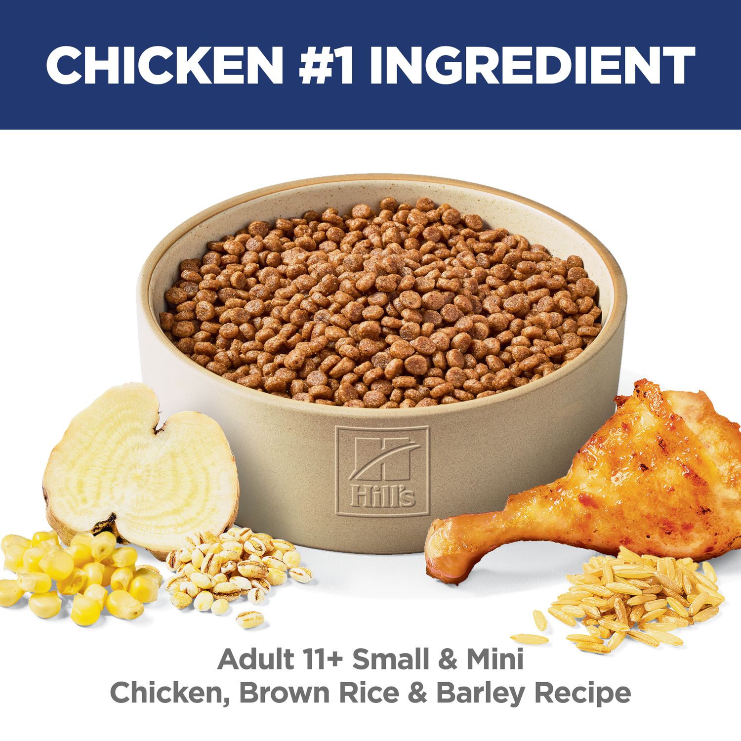 Adult 11+ Small & Mini Dog Food